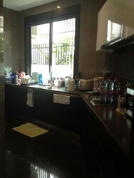 Belle Vue Residences (D9), Condominium #604931831